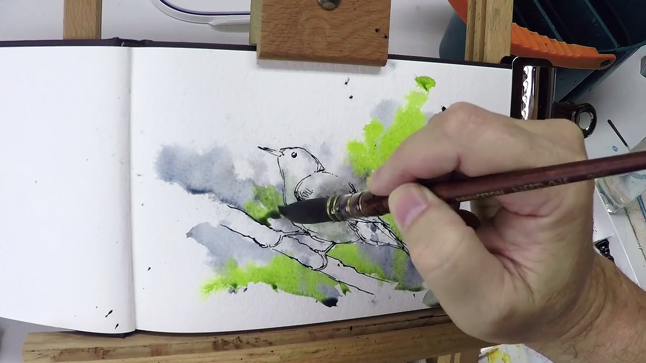 Line and Wash Watercolor Bird Painting– White Breasted Nuthatch