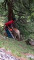 Sauvetage d'un cheval coincé entre 2 arbres à coups de tronçonneuse !