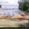 Ce mini tsunami emporte tout sur son passage !