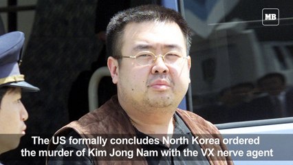 US finds North Korea killed Kim brother with VX agent