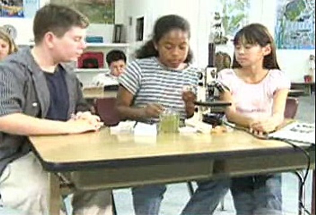 Organisms Found in Pond Water - YouTube