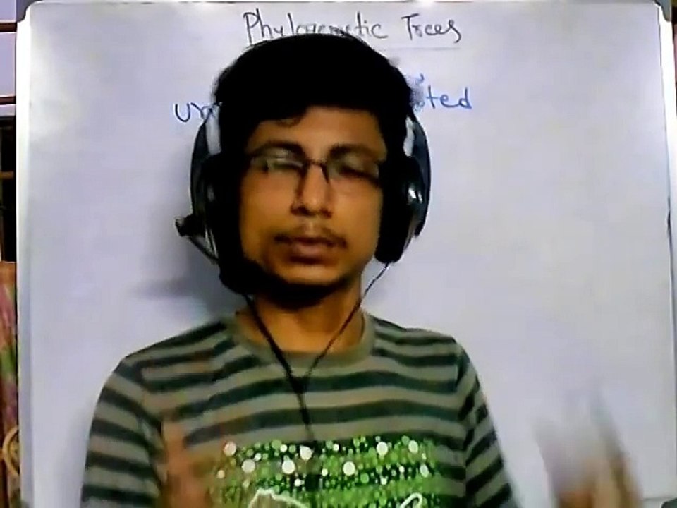 Phylogenetic tree -