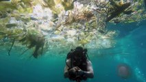 Océan de plastique à Bali