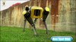 Boston Dynamics : New Spot Mini Unleashed (Robot Evolution)