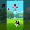 Pokémon GO 11 RARE CATCHES IN 24 HOURS Dragonite Aerodyl Starmie & more!