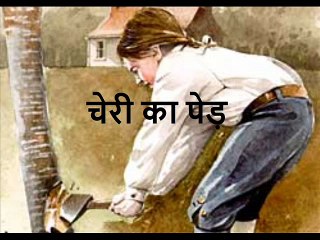 चेरी का पेड़ Cherry Ka Ped