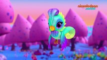 Shimmer & Shine | Bali le perroquet | NICKELODEON JUNIOR