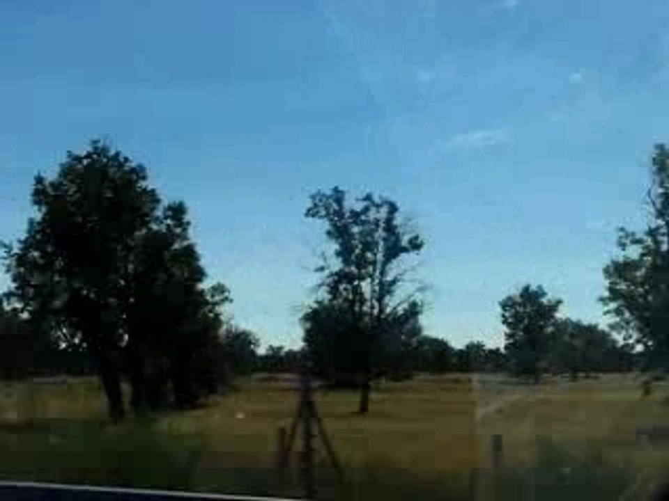 Campo, entre Vilar Formoso & Ciudad Rodrigo