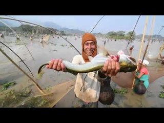 Indian villagers hold communal fishing event in Assam state
