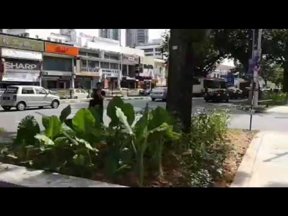 Swings, picnic parks in Jalan Burmah soon