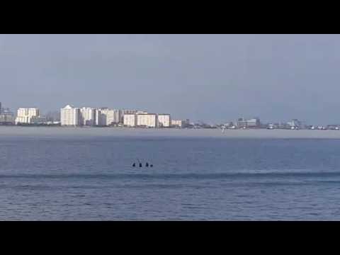 US military, Malaysian cops train in Penang waters