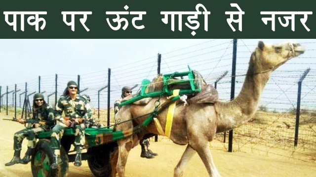 Pakistan पर BSF Soldiers रखेंगे Camel Cart से नजर, Border पर तैनात | वनइंडिया हिन्दी