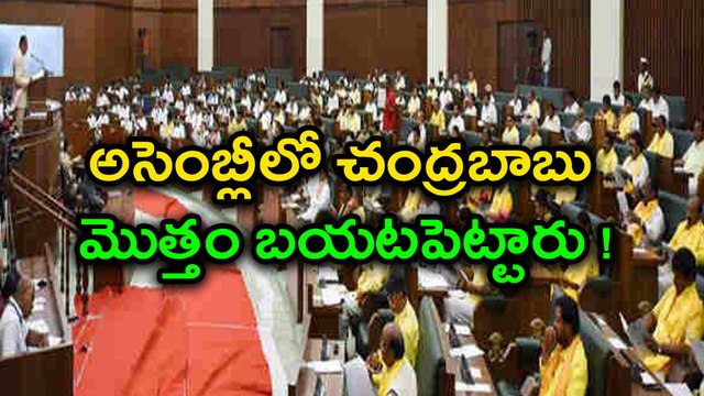 Ap Budget Sessions : Chandrababu Naidu Revealed Everything