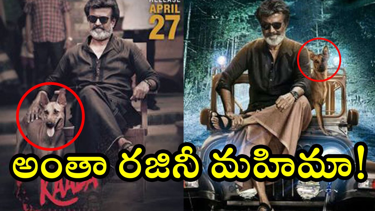 Rajini Brand Mark Value For Dog     రాత్రికి  రాత్రికి అదృష్టం అంటే ఇదేనేమో ...