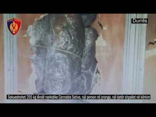 Ora News - Durrës, sekuestrohen 255 kg kanabis, në pranga vlonjati