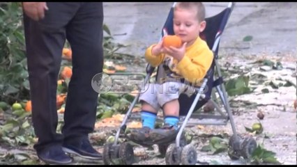 Ora News - Peme 50 vjeçare - Në Elbasan i priten portokallet rrugës së “Portokalleve”