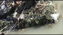 Ora News -  Fushë Krujë, degët e hashashit lundrojnë në ujërat e lumit Zezë