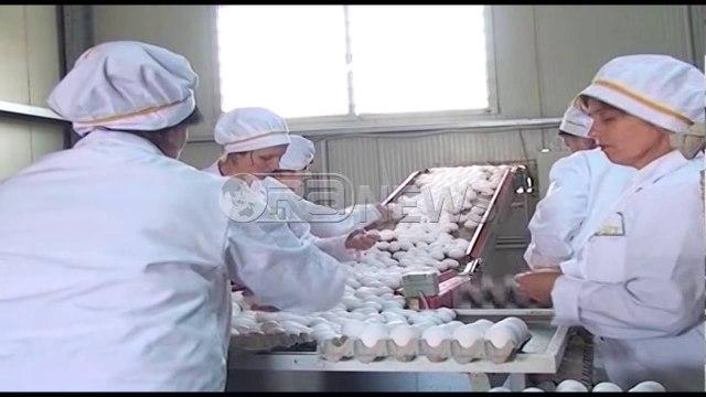 Ora News - BSH: Gjatë gushtit kreditë e këqija arrijnë në nivelin 21.44%