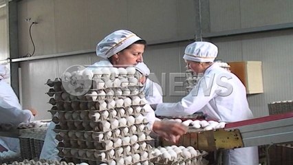 Ora News - Ekonomia rritet 3.21 %