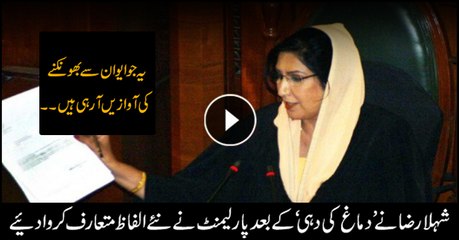 Download Video: After 'dimagh ki dahi' here is the new comment from Shehla Raza