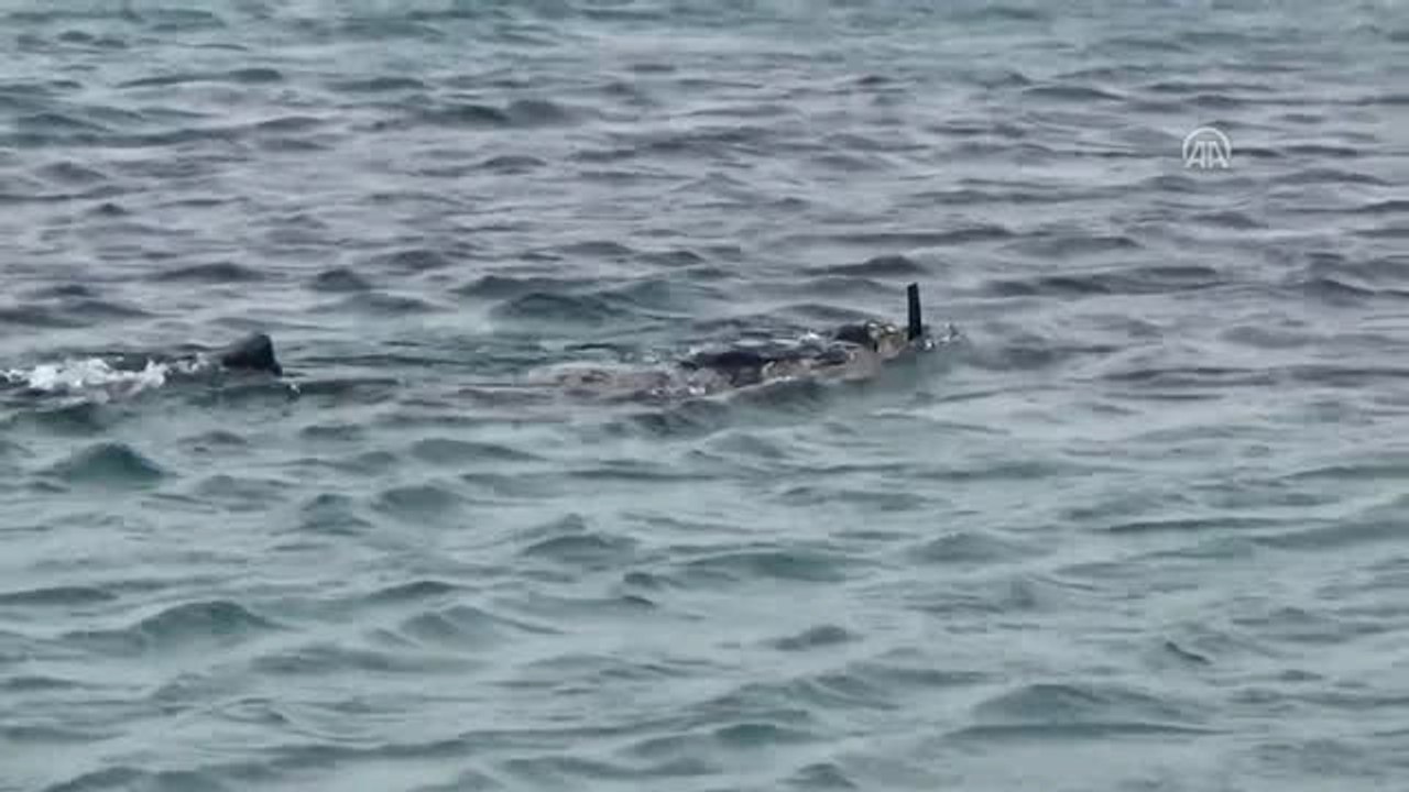 Deniz Dibi Temizliği Sürüyor