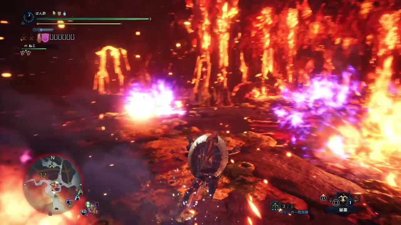 MHW　テオ　チャアク