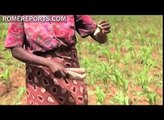 Caritas Internationalis: Providing not only crops in Africa, but knowledge