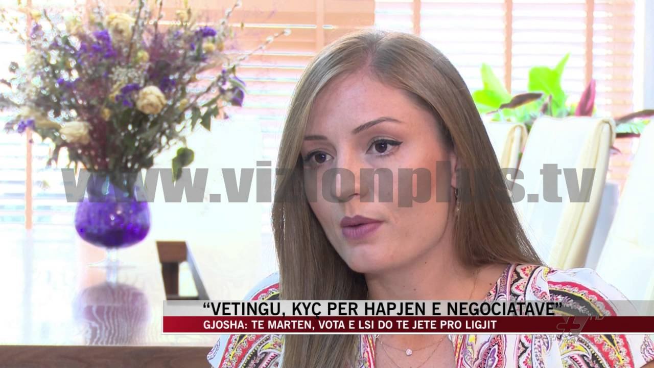 “Vetingu, kyç për hapjen e negociatave” - News, Lajme - Vizion Plus