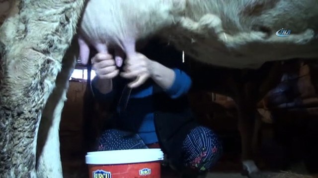 Köylü kadınlar, kadınlar gününde de çalışıyor