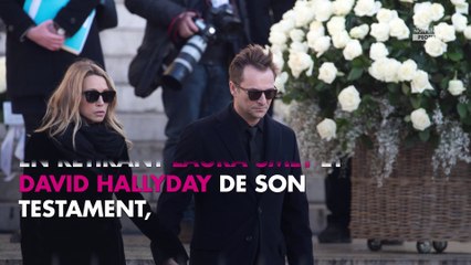 Laura Smet fan de son frère David Hallyday sur Instagram (photo)