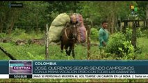 Colombia: piden garantías para sustitución de cultivos ilícitos