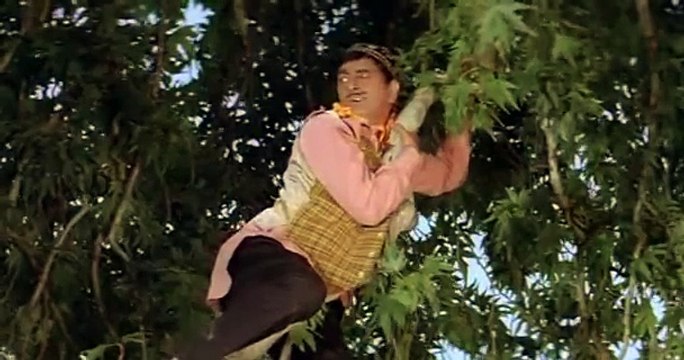 Amitabh Bachchan dialogues in Telugu Laawaris(1981)