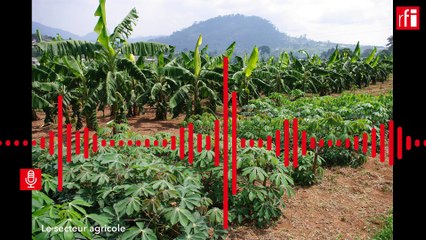 Émission spéciale : le développement du Sahel pour lutter contre le terrorisme