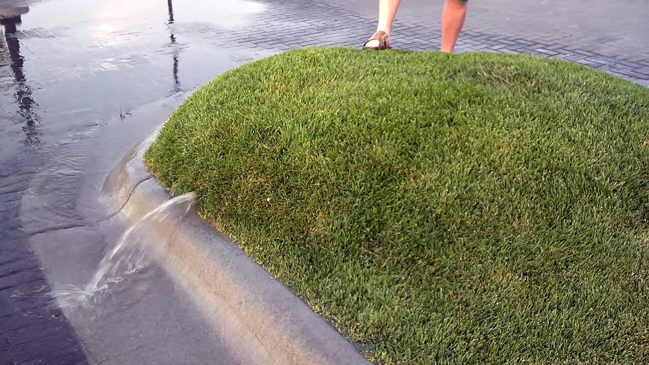 Waterbed Made from Turf
