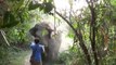 Ce touriste fait face à un éléphant qui le charge et ne bouge pas d'un pouce...