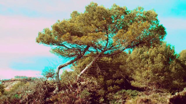 ASU SI DANIELA GYORFI - AUZI MELODIE VIATA MEA (OFFICIAL VIDEO) MANELE NOI 2018