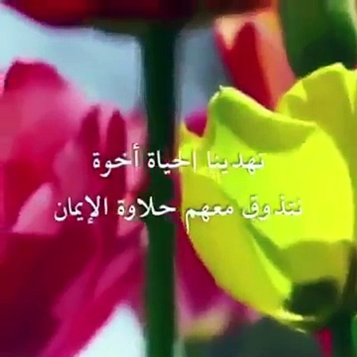 كلام جميل في الأخوة أرسله لكل من يعز عليك
