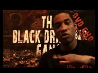 EXCLU Shadow Black Dragon Gang