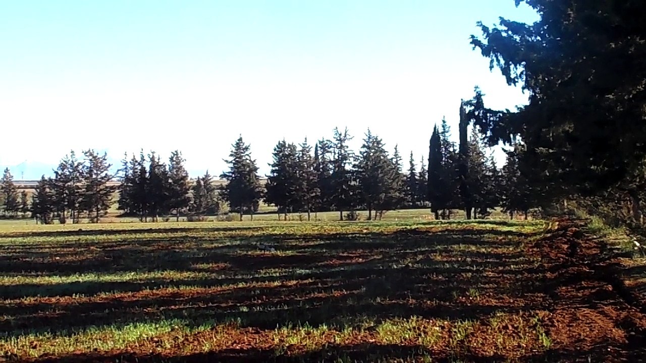 Landscapes from El Hachimia.