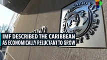 IMF Described The Caribbean As Economically Reluctant To Grow