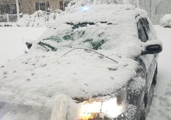 Emergency Declared in South Brunswick Township Due to Heavy Snow, Fallen Trees