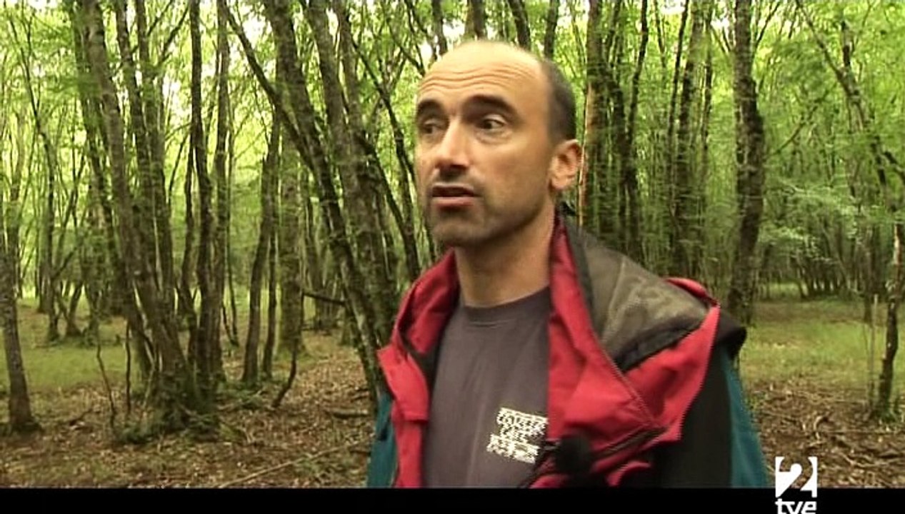 SOS Cambio Climático (3 de 3) El Efecto Invernadero