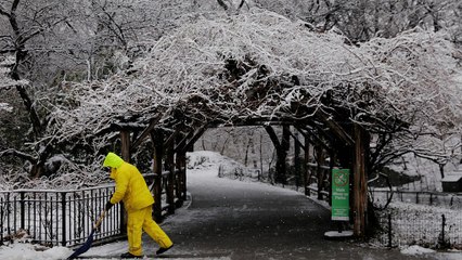 ABD'nin kuzey doğu kıyısını kar fırtınası vurdu