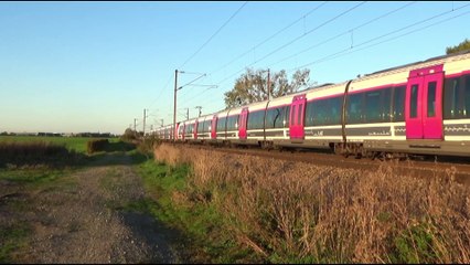 Trafic ferroviaire, TER ; Transilien ; Fret ; VFLI ; ECR et W