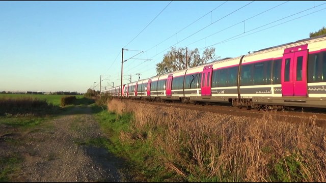Trafic ferroviaire, TER ; Transilien ; Fret ; VFLI ; ECR et W