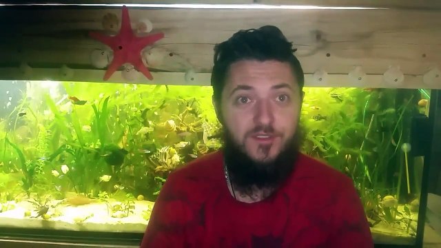 60.Jak nie robic -i jak robic nalewke ze szczec zastosowanie nalewki