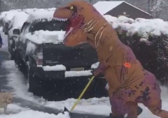 Tiny Arms Don't Stop 'T-Rex' From Digging Up a Storm During Nor'easter