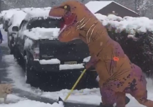 Tiny Arms Don't Stop 'T-Rex' From Digging Up a Storm During Nor'easter