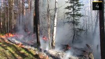The Daily Brief: 30 Houses Destroyed After Wildfires in Siberia