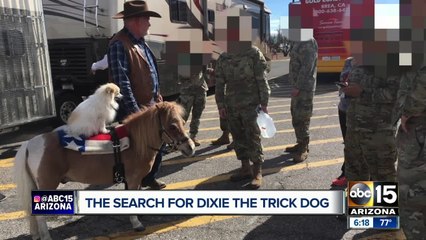 Trick dog named Dixie missing in Phoenix